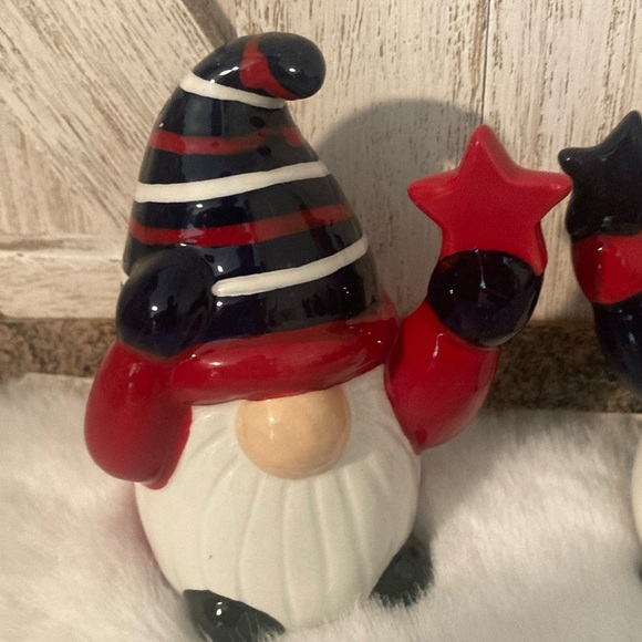 Tag Patriotic Gnome Shakers - Picture 3 of 6